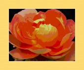 quadruple therapy image healthtips images